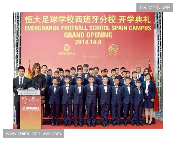 2026年足球青训评估数据开放平台上线通告，全国足球青训机构排名